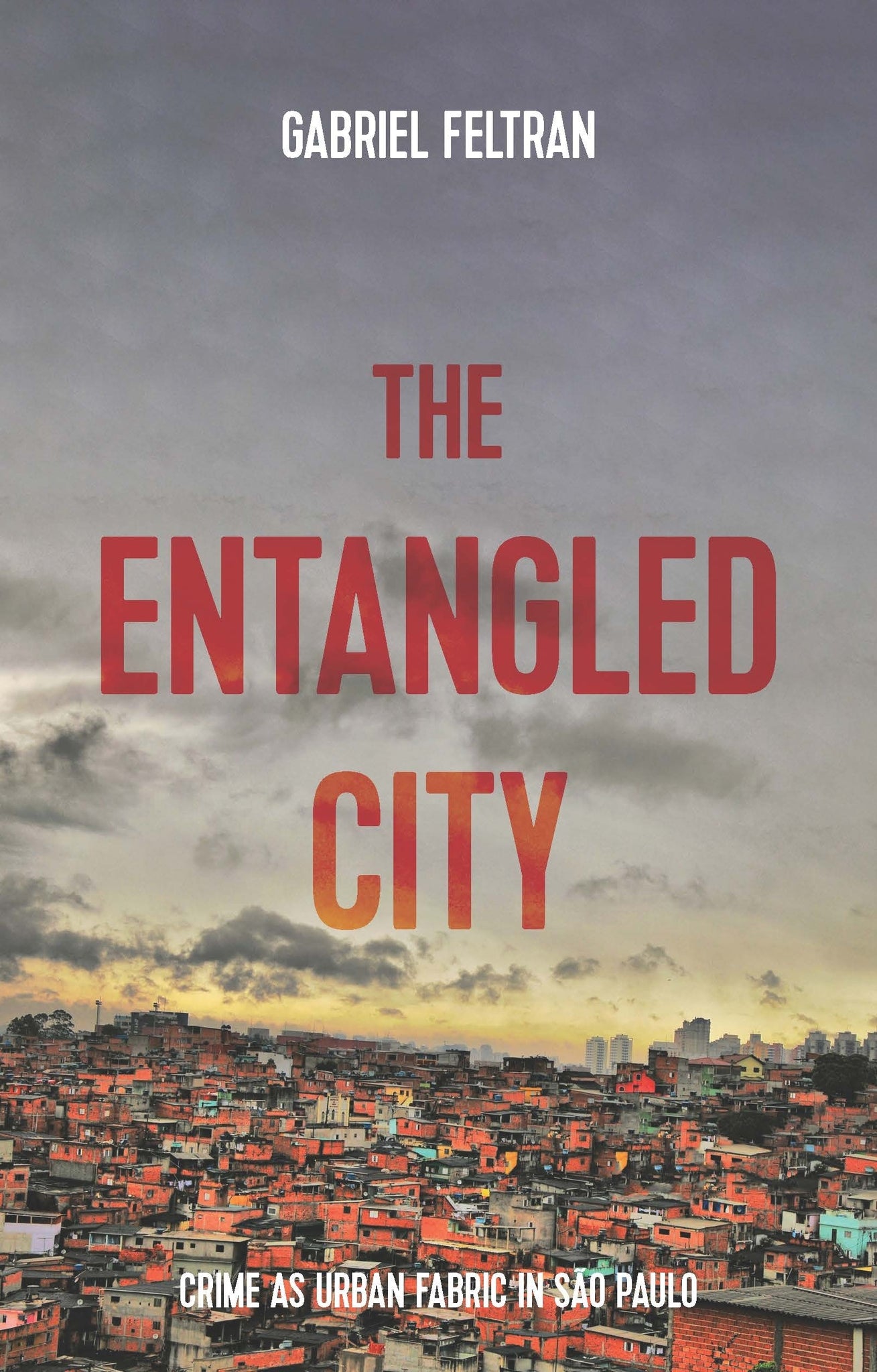 Cover image for The entangled city ISBN 9781526138248